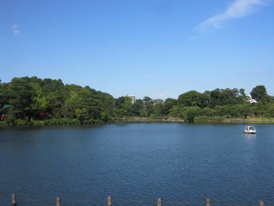 Senzoku Pond